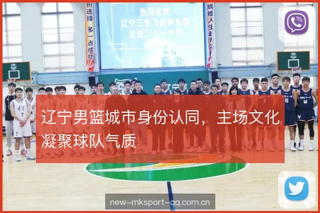 辽宁男篮城市身份认同，主场文化凝聚球队气质